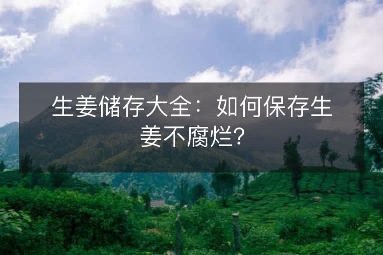 生姜储存大全：如何保存生姜不腐烂？