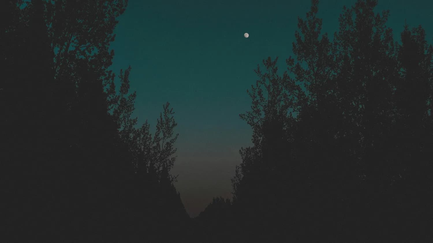 《我的世界》时间机制揭秘：实现永远的白天
