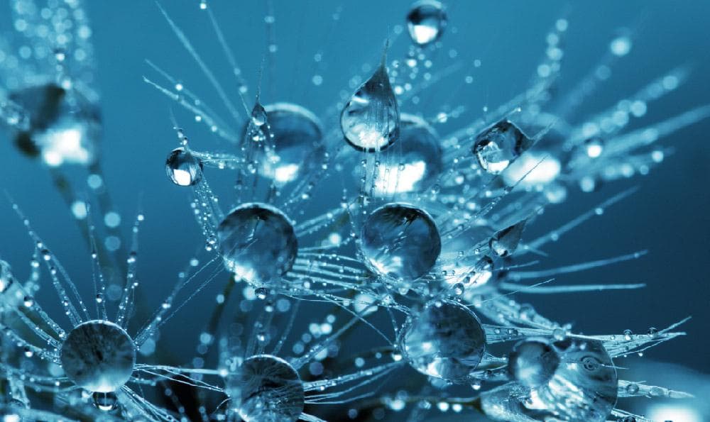 探索世界规律的科学实践活动方案