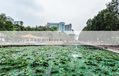 碳钢和铁哪个好：全面解析二者的优劣差异