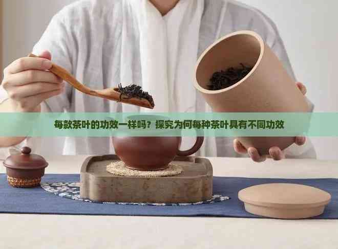 每款茶叶的功效一样吗？探究为何每种茶叶具有不同功效