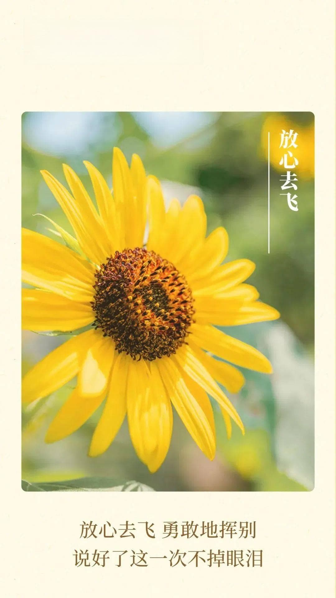校园丨30首毕业神曲，歌词牵动了谁的心？