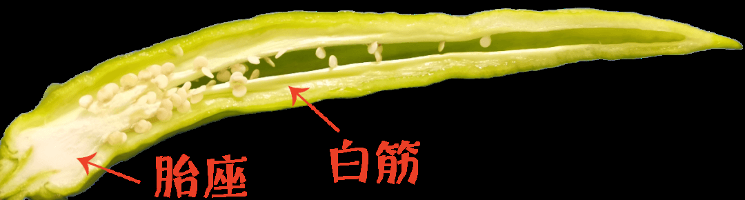 辣椒、大葱、洋葱的 “辣” 是同一种吗？答案是……