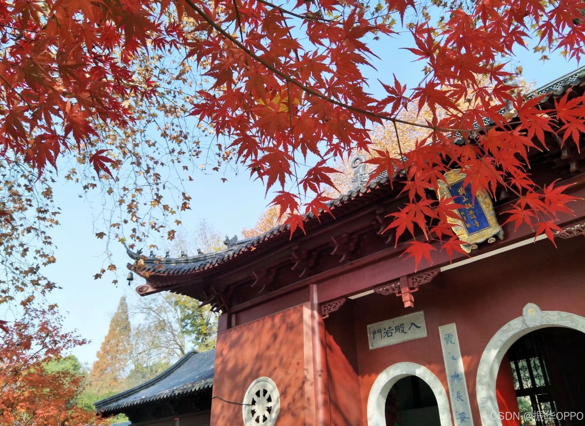 5个快速提升格局的方法，让你站得更高，看得更远