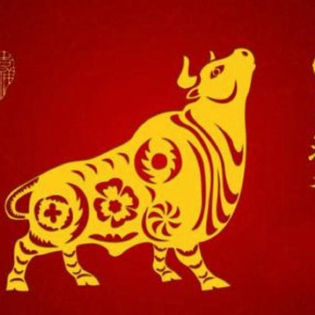 小型模块化反应堆(SMR)：核能技术的未来发展方向