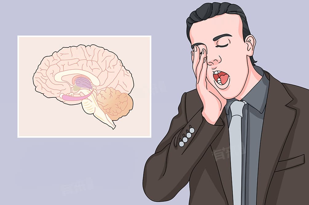 人为什么会打哈欠