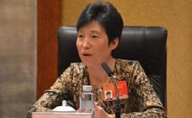 王茜：西安未来国际信息股份有限公司董事长介绍