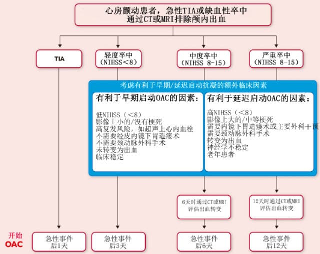动脉硬化性脑梗死合并房颤，选抗凝还是抗血小板？