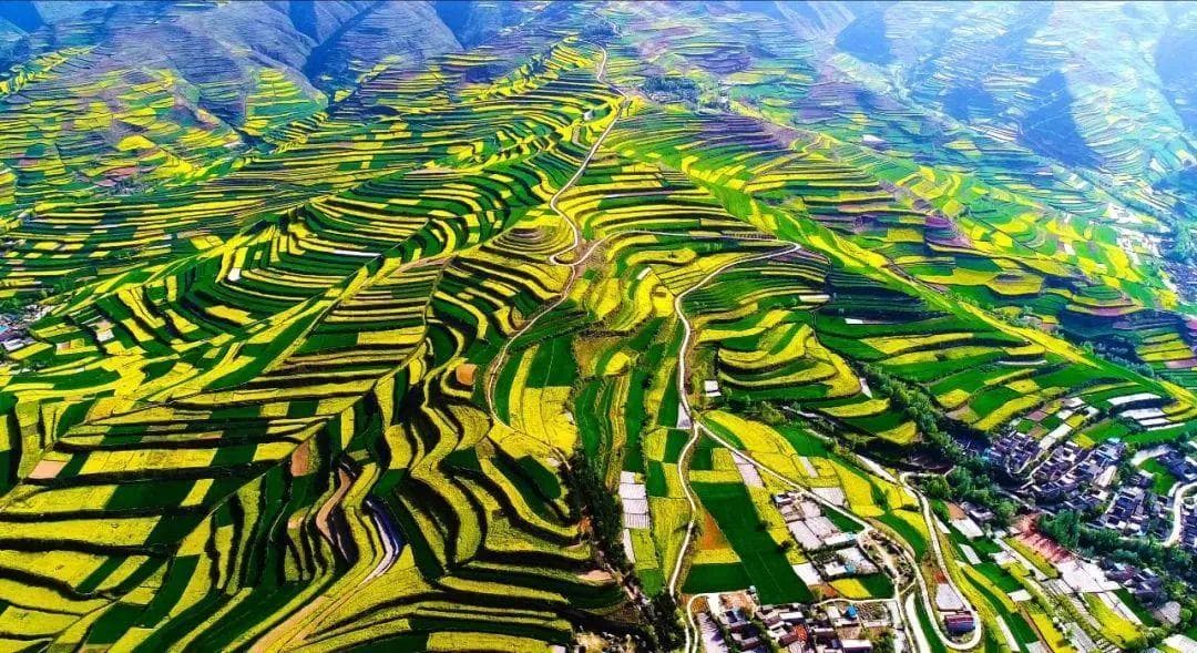 甘肃武山深度游：两天一夜玩转油菜花海和温泉古建