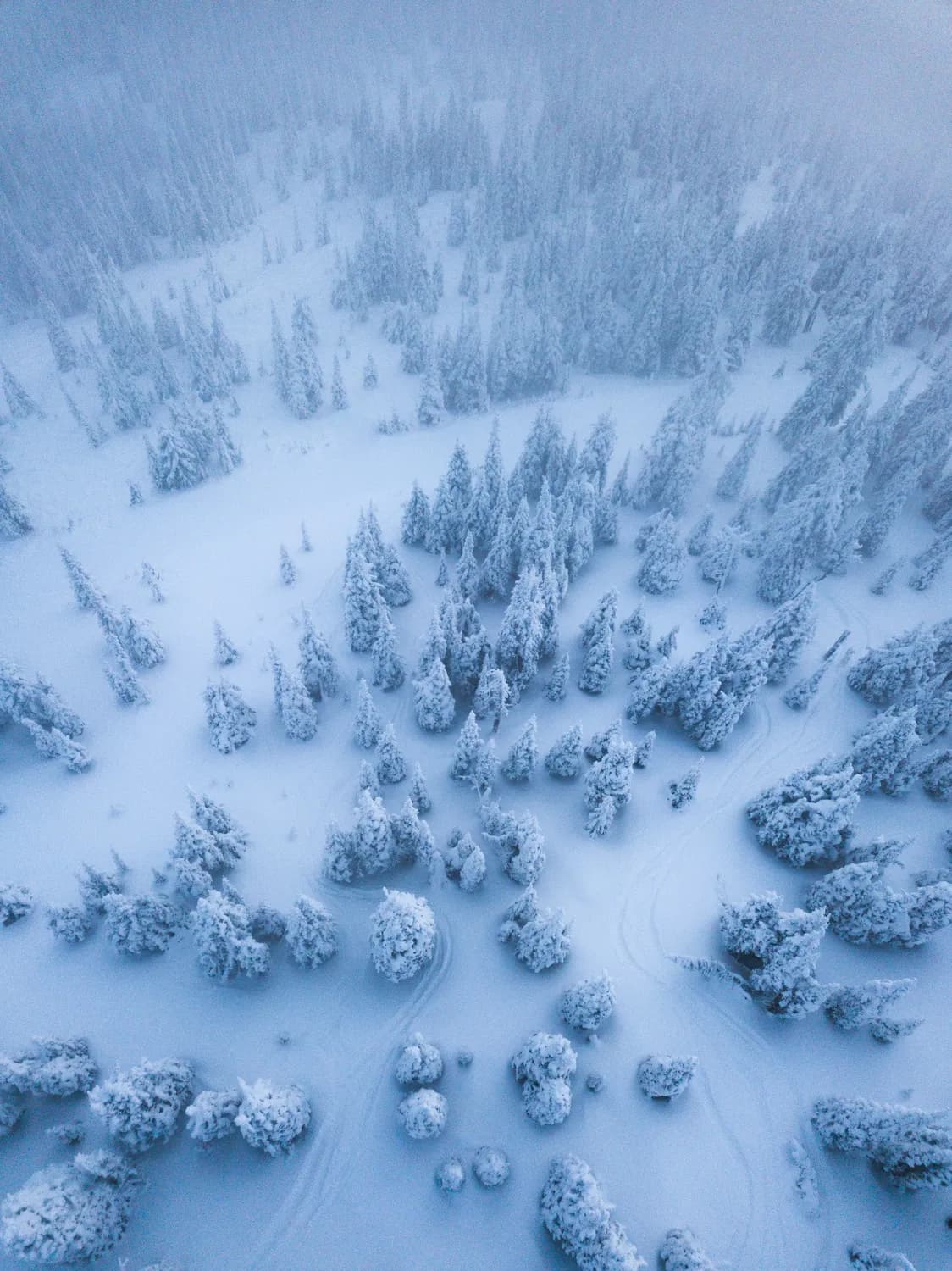 冰雪世界完美拍摄攻略，让你秒变摄影师！