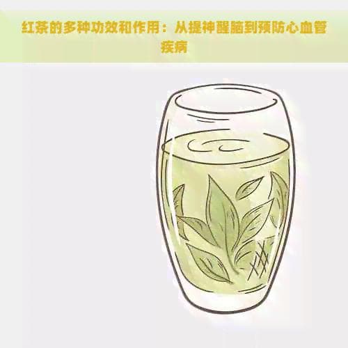 红茶的多种功效和作用：从提神醒脑到预防心血管疾病