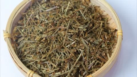 半枝莲的功效与作用是什么