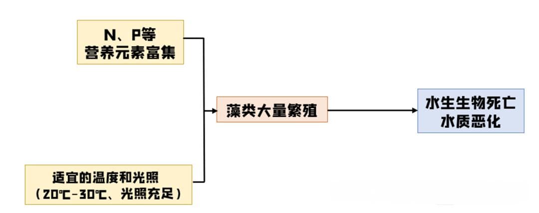 一张图，拿下水体富营养化的相关分析，思路巨清晰！