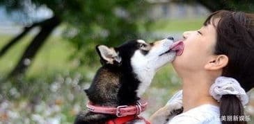 狗狗咬伤，宠物主人需及时就医。
