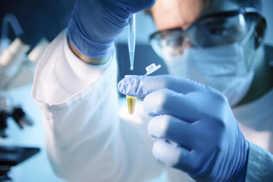 环境因素如何影响基因表达？深入解析其作用机制