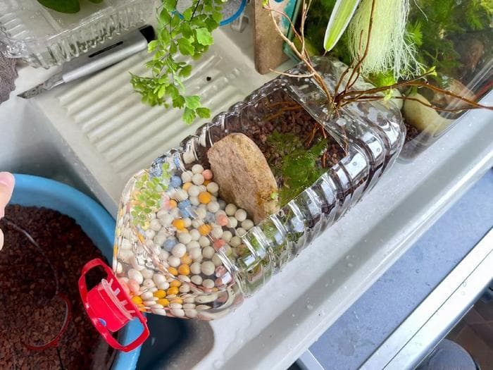 河南一小伙子，自制生态小鱼缸，摆在办公桌上，引来无数同事跟风