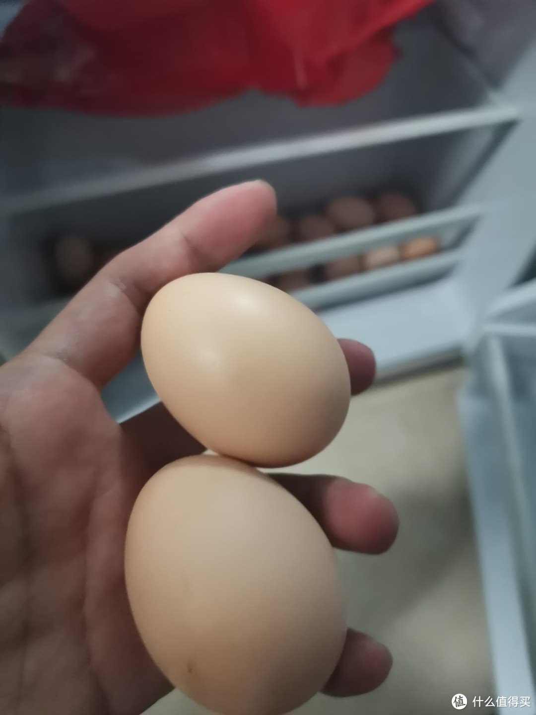 春日早餐：以营养均衡开启活力时光
