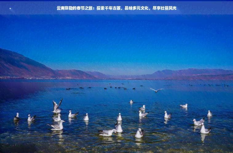 云南弥勒的春节之旅：探索千年古寨，品味多元文化，尽享壮丽风光