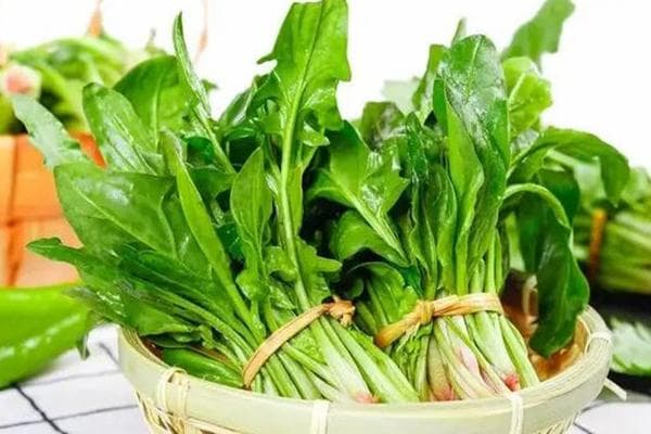 季节变换，蔬菜怎么选？专家教你顺应时令，吃出健康好身体！