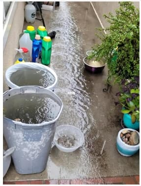 雨水浇花好吗？长期存放的雨水可以浇花吗？