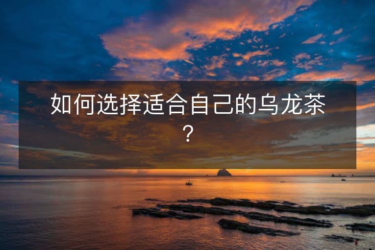 如何选择适合自己的乌龙茶？