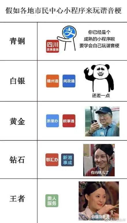 培养社交小能手，宠物社交达人！