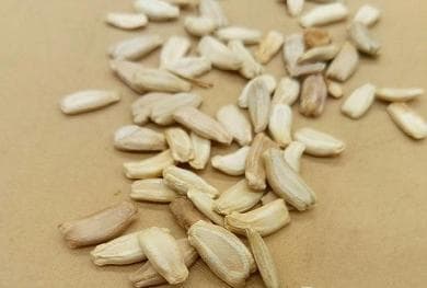 葫芦种植全攻略：最佳种植时间与方法详解