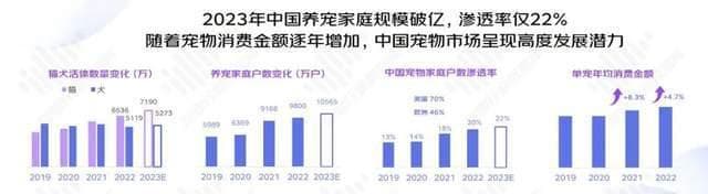 白皮书启示：携宠旅游初露头角，规范服务成关键