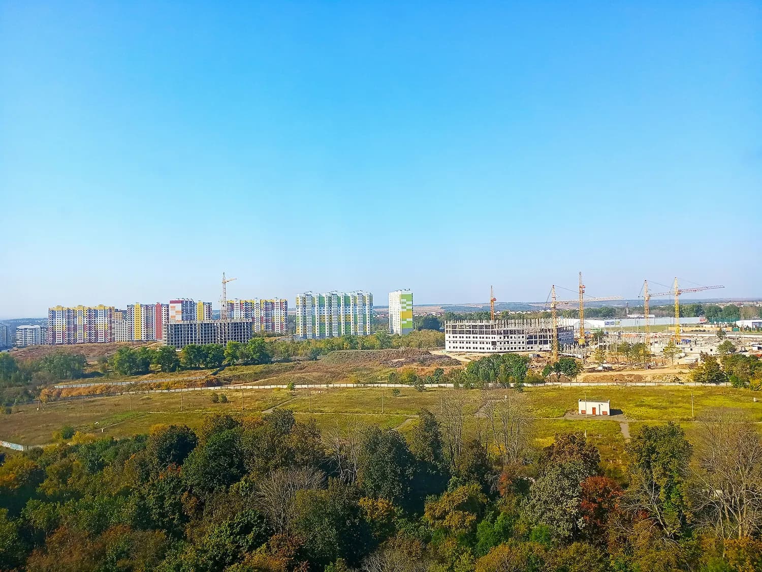 武汉国家农创中心：小番茄种植的科技革命