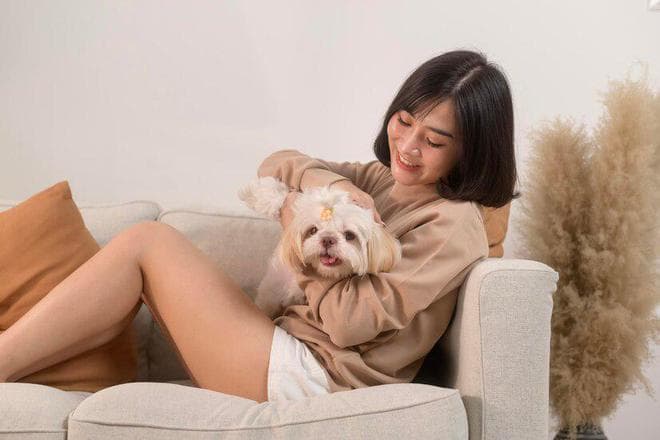 尿垫 vs 狗砂：养狗家庭必备用品的优缺点全解析