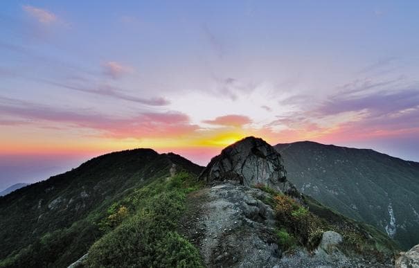 野生黄鳝配山泉，南江黄鳝面成三省美食名片