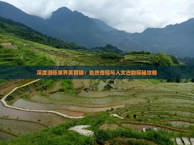 深度游张家界芙蓉镇：自然奇观与人文古韵探秘攻略