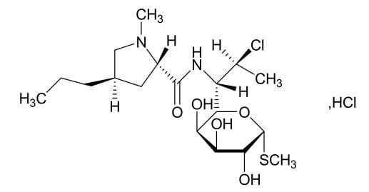 盐酸克林霉素胶囊说明书