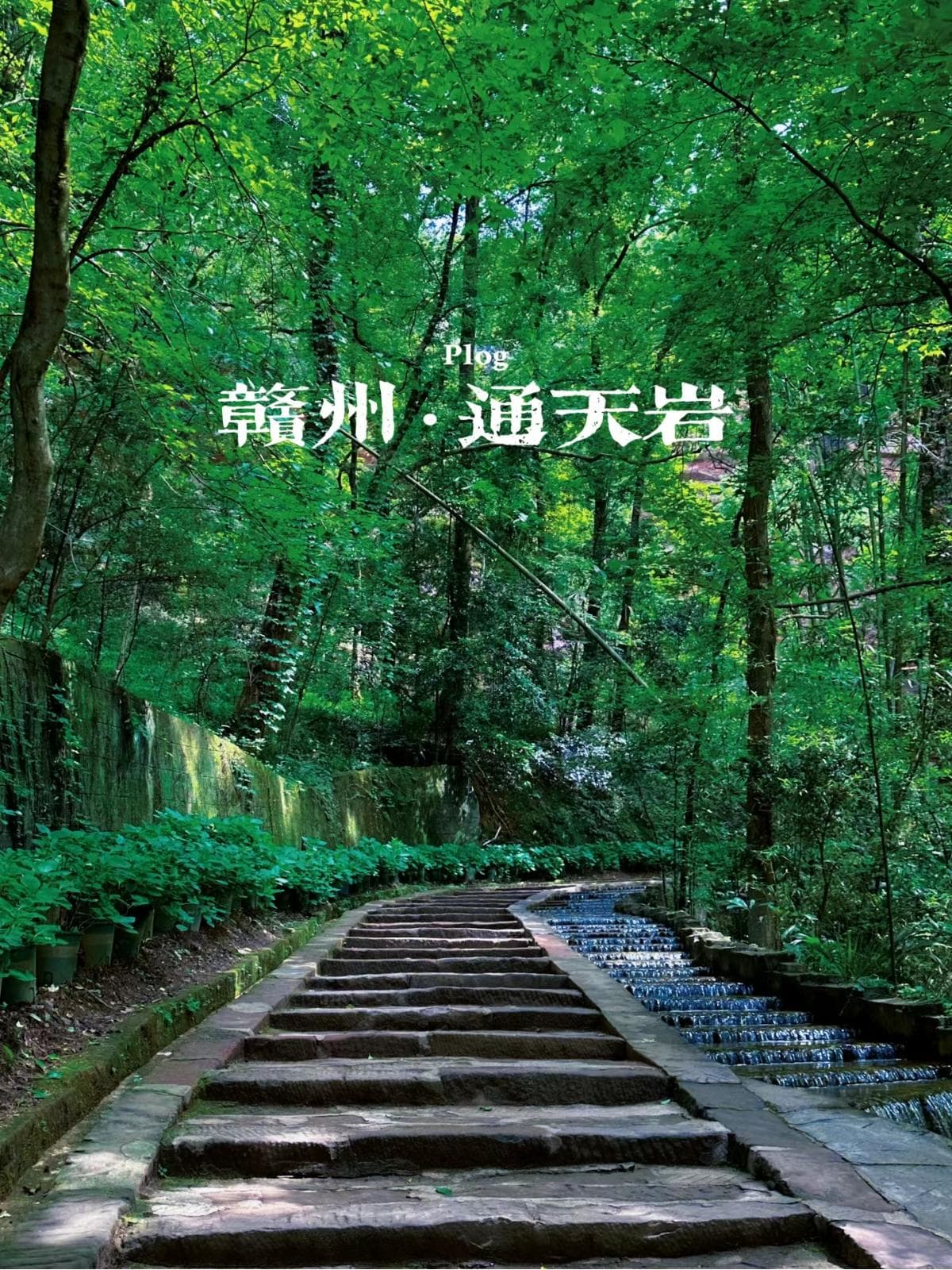 赣南明珠通天岩：岩洞奇观与千年古迹交相辉映