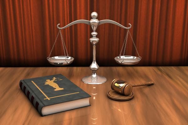 减刑假释中悔罪表现鲜明，展示改过自新的决心