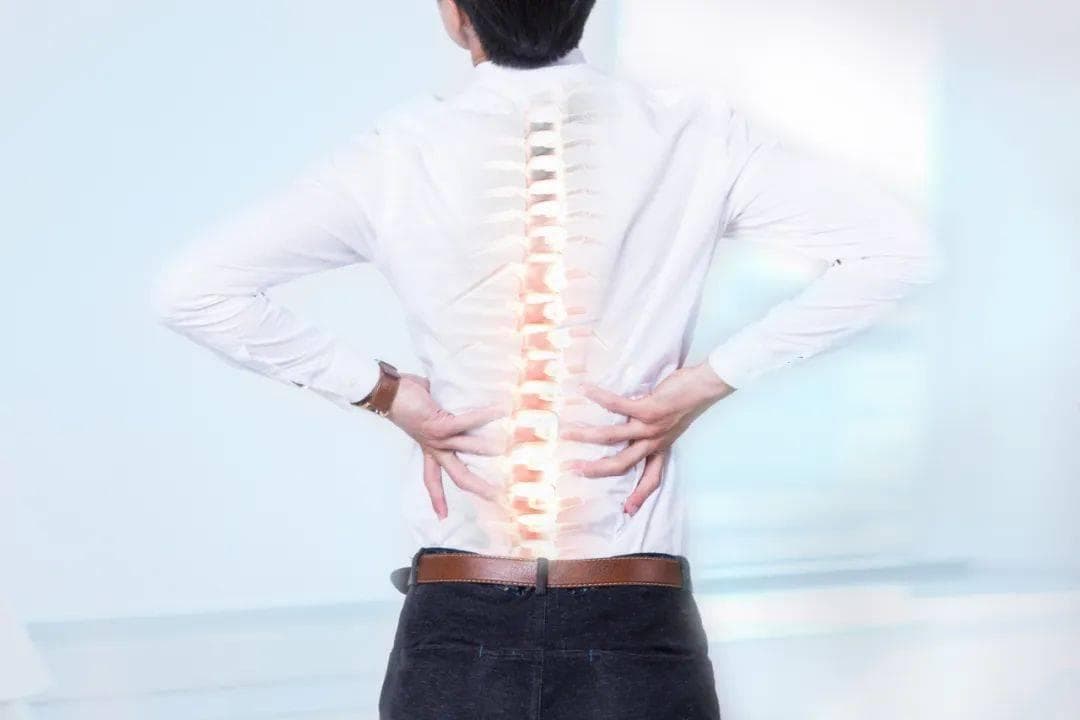 脊柱健康科普宣传日丨人体第二生命线，脊柱到底多重要？