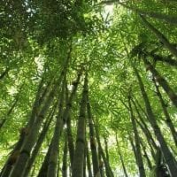 孙中山《实业计划》：中国近代化蓝图