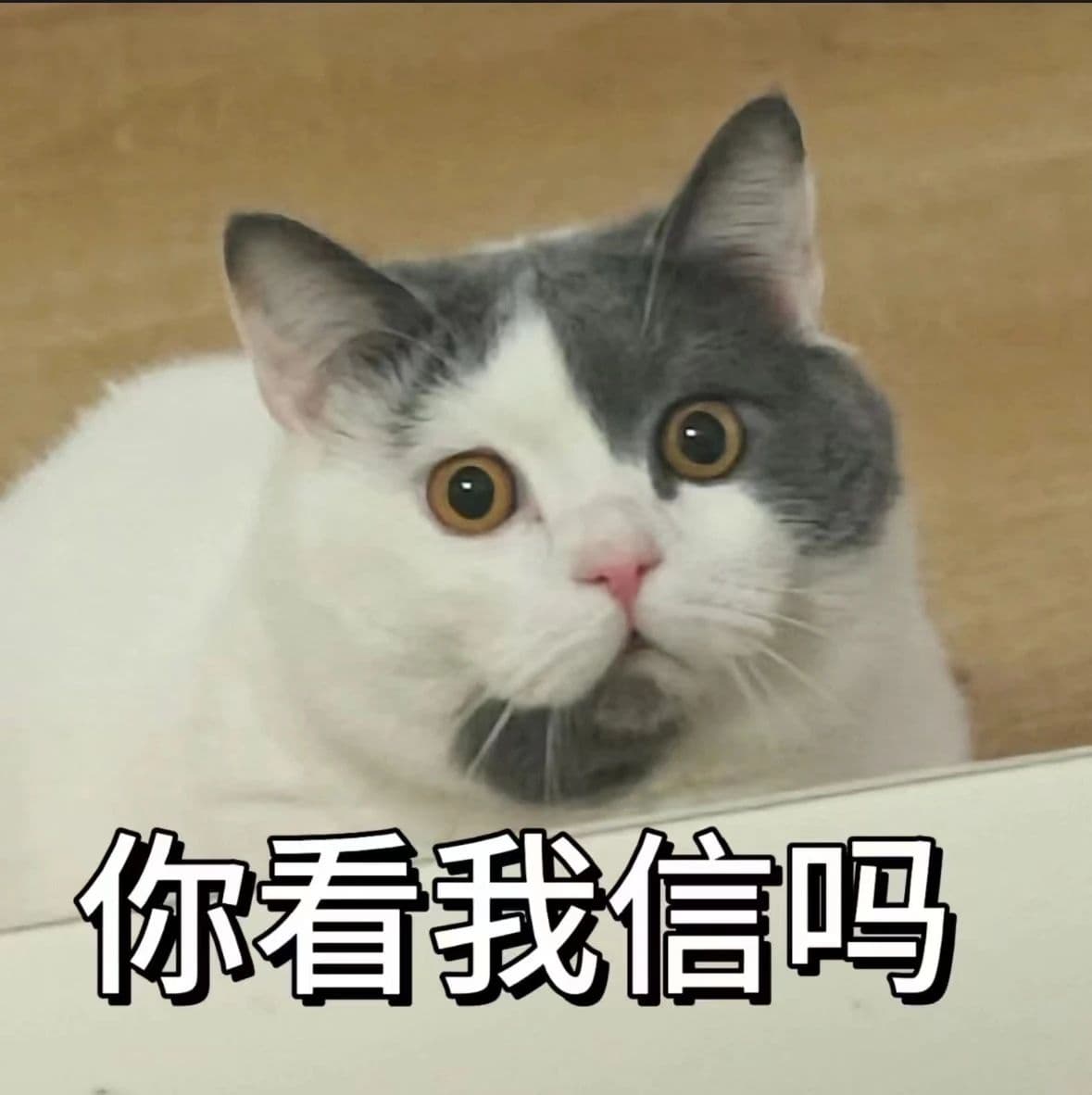 “高大上”的管培生，怎么成了打杂的？