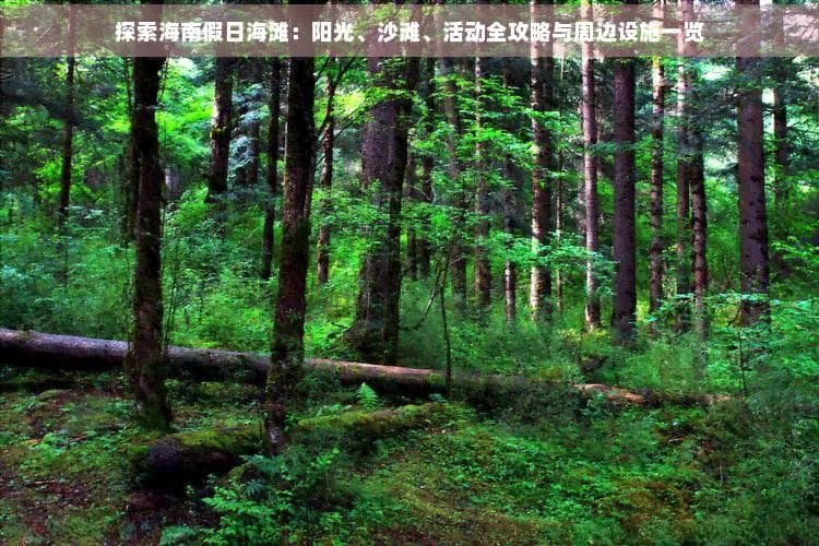海口假日海滩：阳光海浴、沙滩运动到吃住玩乐全攻略
