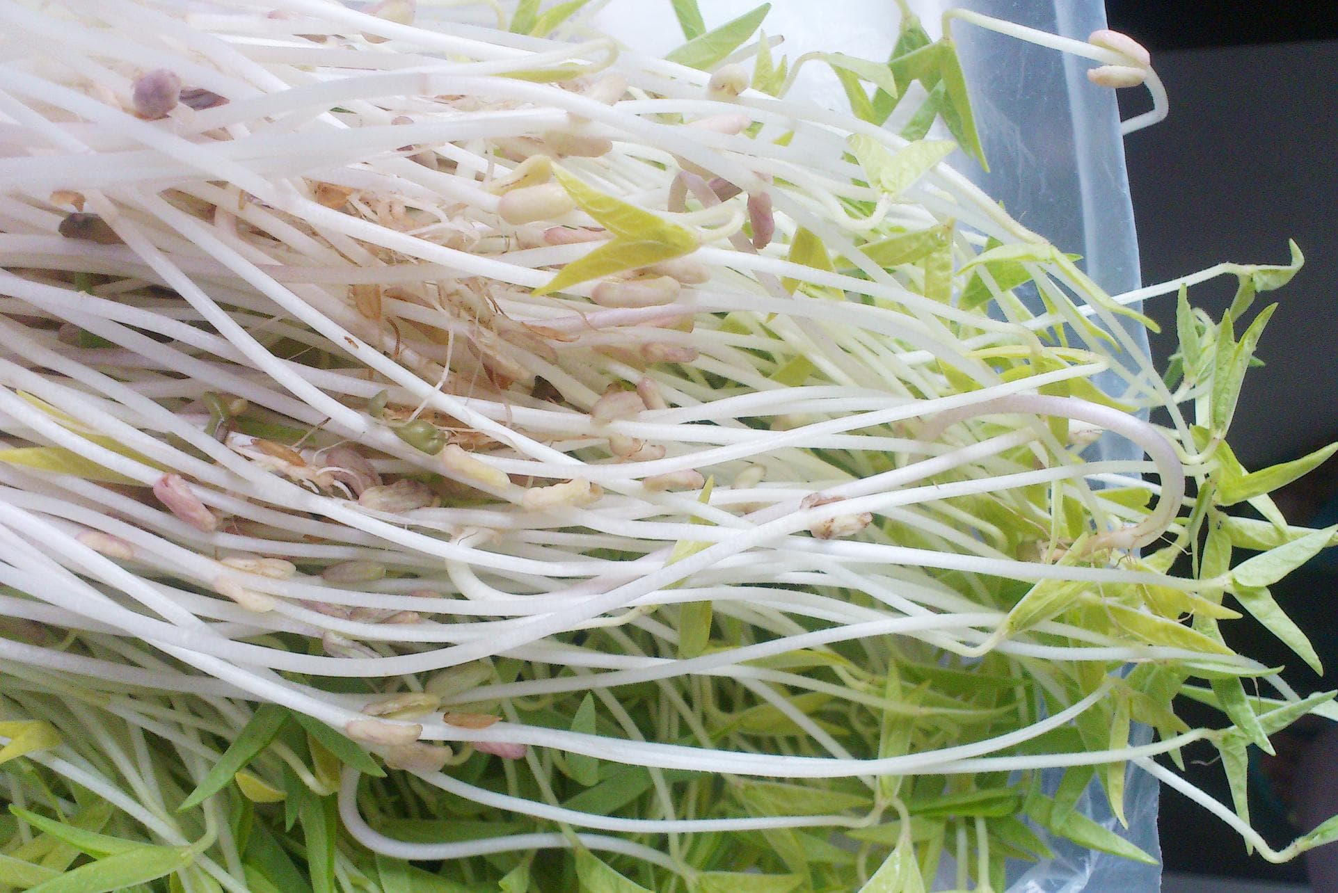 九种蔬菜防便秘