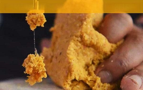 冬季钓鱼用香腥还是腥香？为什么选择的原因分析