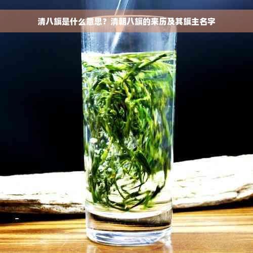 清八旗是什么意思？清朝八旗的来历及其旗主名字