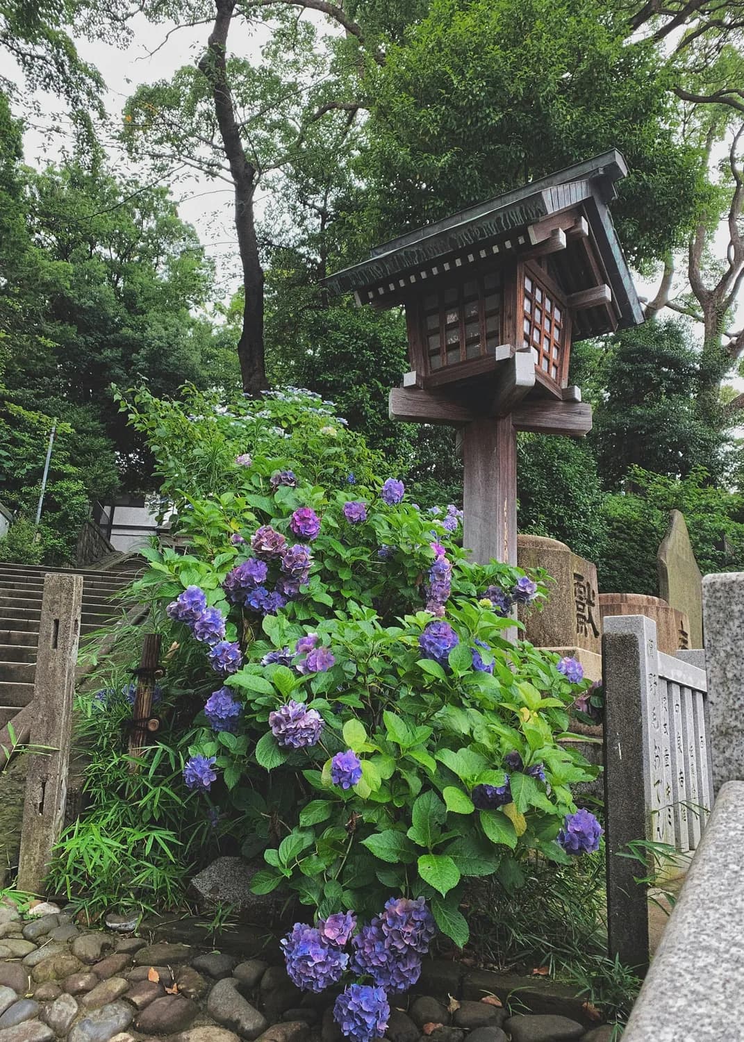 掌握日语星期名称，让日本旅游更顺畅