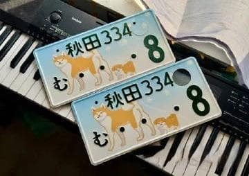 全球车牌大观：从颜色设计到文化特色