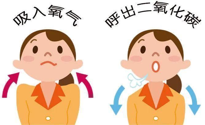 深呼吸可平复情绪是有道理的