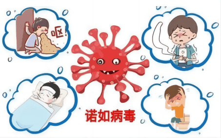 诺如病毒呕吐物处理指南：科学防控，防止疫情扩散