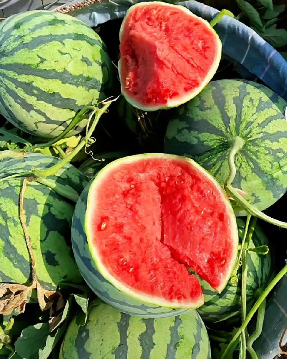夏日水果挑选秘籍：让你成为水果达人！