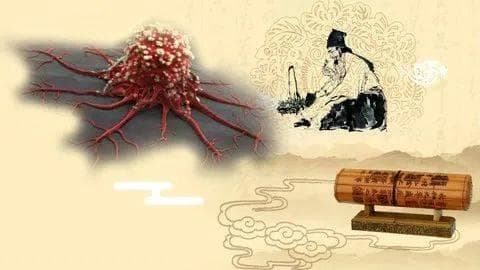 健康科普——从中医角度谈谈肿瘤