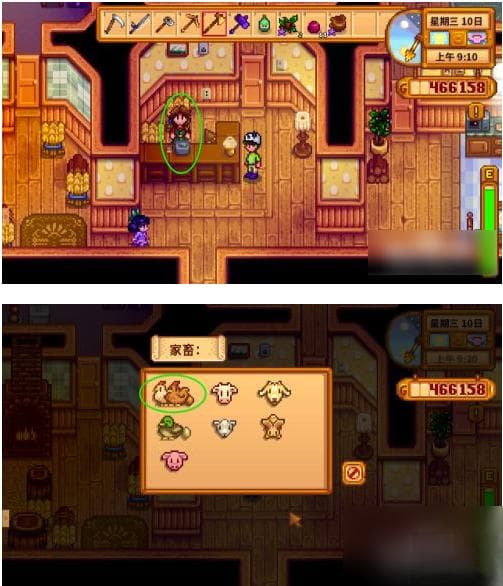 《星露谷物语》养鸡攻略：从鸡舍建设到优质蛋产出