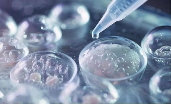 干细胞技术的未来三大新兴医学：转化医学、再生医学及精准医疗